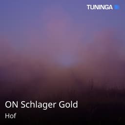 ON Schlager Gold