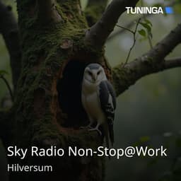 Sky Radio Non-Stop@Work