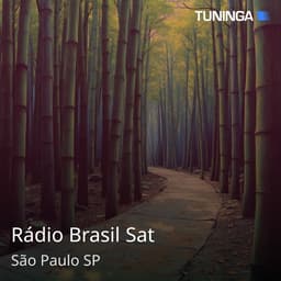 Rádio Brasil Sat