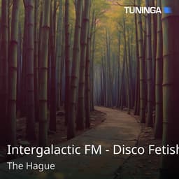 Intergalactic FM - Disco Fetish