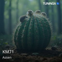 KM71