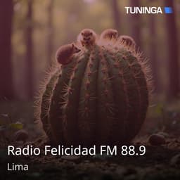 Radio Felicidad FM 88.9