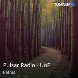 Pulsar Radio - UoP