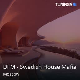DFM - Swedish House Mafia