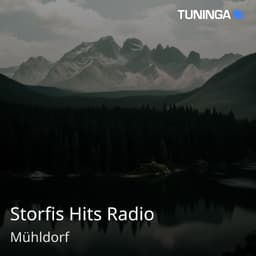Storfis Hits Radio
