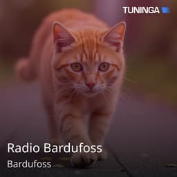 Radio Bardufoss
