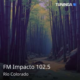 FM Impacto 102.5