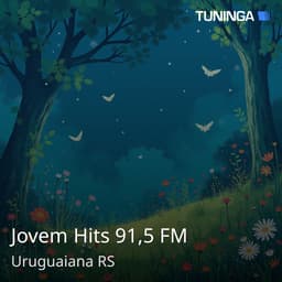 Jovem Hits 91,5 FM