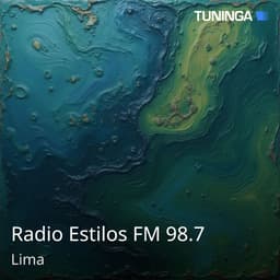 Radio Estilos FM 98.7
