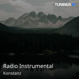 Radio Instrumental