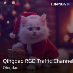 Qingdao RGD Traffic Channel