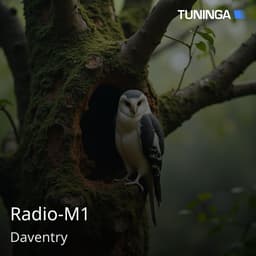 Radio-M1