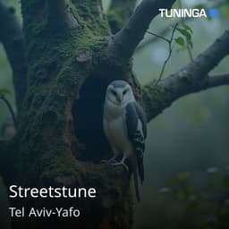 Streetstune