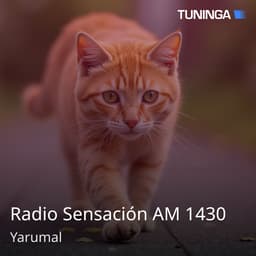 Radio Sensación AM 1430