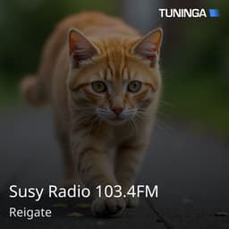 Susy Radio 103.4FM