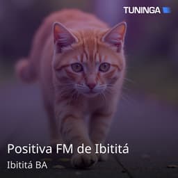 Positiva FM de Ibititá