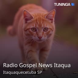 Radio Gospel News Itaqua