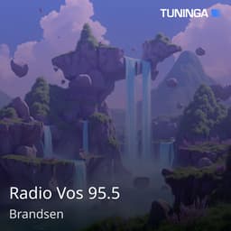 Radio Vos 95.5