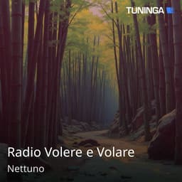 Radio Volere e Volare