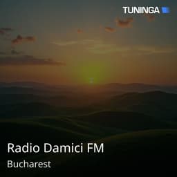 Radio Damici FM