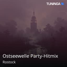 Ostseewelle Party-Hitmix