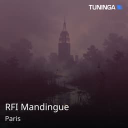 RFI Mandingue