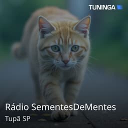 Rádio SementesDeMentes