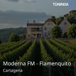 Moderna FM - Flamenquito
