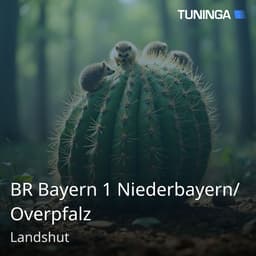 BR Bayern 1 Niederbayern/Overpfalz