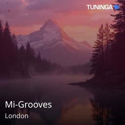 Mi-Grooves