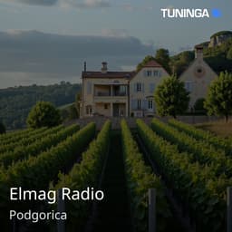 Elmag Radio