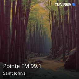 Pointe FM 99.1