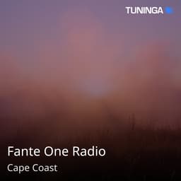 Fante One Radio
