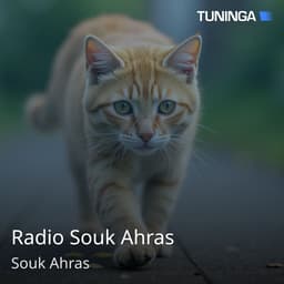 Radio Souk Ahras