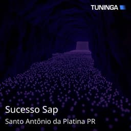 Sucesso Sap