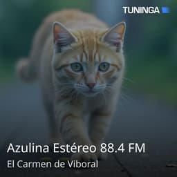 Azulina Estéreo 88.4 FM