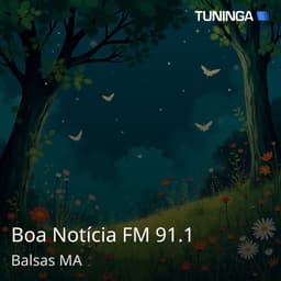 Boa Notícia FM 91.1