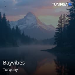 Bayvibes
