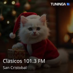 Clasicos 101.3 FM