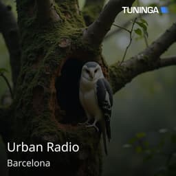 Urban Radio