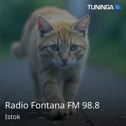 Radio Fontana FM 98.8