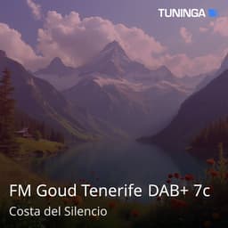 FM Goud Tenerife DAB+ 7c