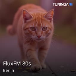 FluxFM 80s