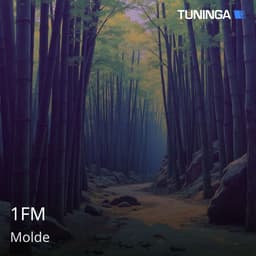 1FM