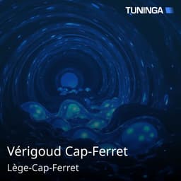 Vérigoud Cap-Ferret