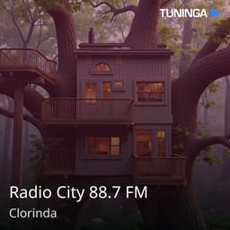 Radio City 88.7 FM