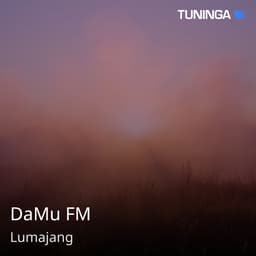 DaMu FM