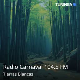 Radio Carnaval 104.5 FM