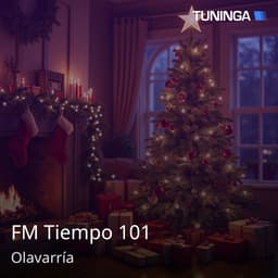 FM Tiempo 101