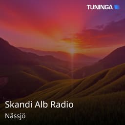 Skandi Alb Radio